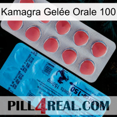 Kamagra Gelée Orale 100 new14